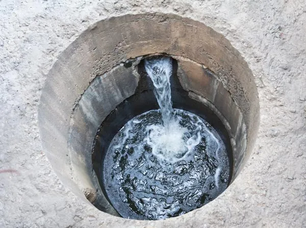 Assainissement des eaux usées : des solutions efficaces et durables, Montbrison, Genovese Paysages
